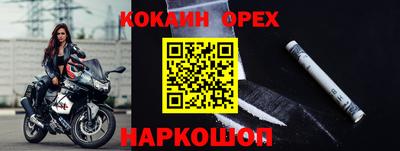 ГАЛЛЮЦИНОГЕННЫЕ ГРИБЫ Кингисепп